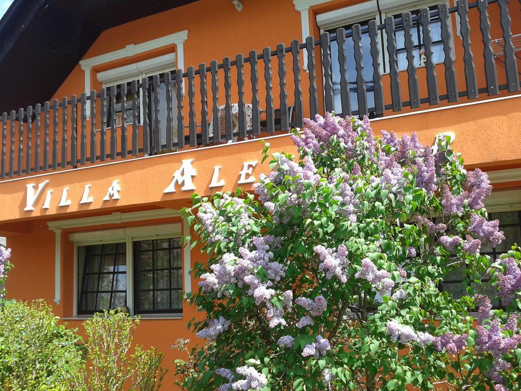 Villa Alexandr Alsópáhok Esterno foto